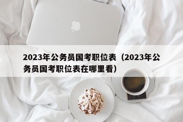 2023年公务员国考职位表（2023年公务员国考职位表在哪里看）