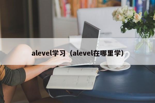 alevel学习（alevel在哪里学）