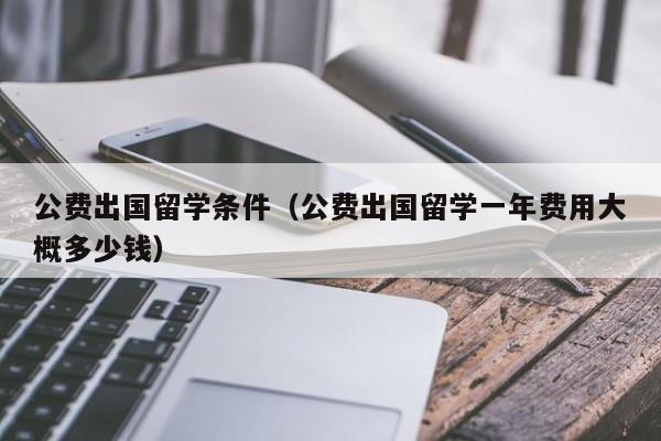 公费出国留学条件（公费出国留学一年费用大概多少钱）