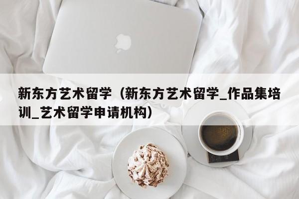 新东方艺术留学（新东方艺术留学_作品集培训_艺术留学申请机构）