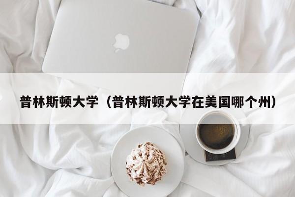 普林斯顿大学（普林斯顿大学在美国哪个州）