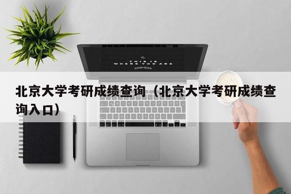 北京大学考研成绩查询（北京大学考研成绩查询入口）