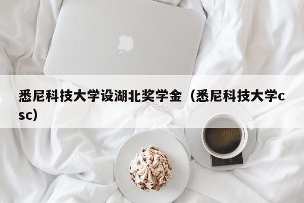 悉尼科技大学设湖北奖学金（悉尼科技大学csc）