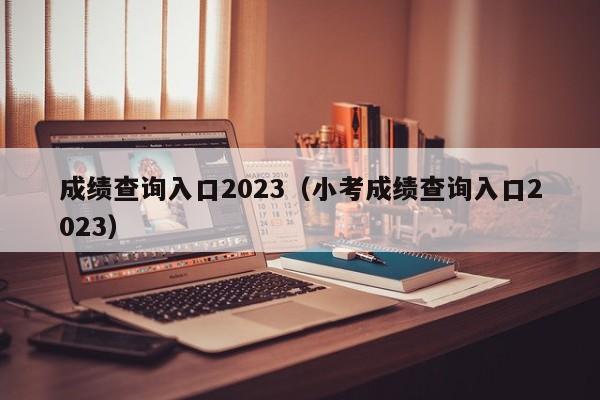 成绩查询入口2023（小考成绩查询入口2023）