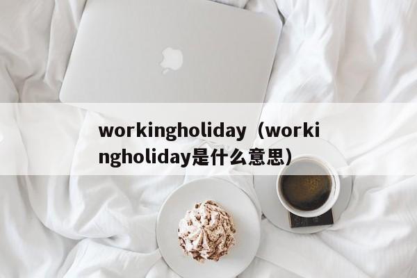 workingholiday（workingholiday是什么意思）