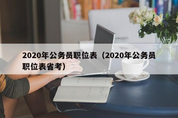 2020年公务员职位表（2020年公务员职位表省考）