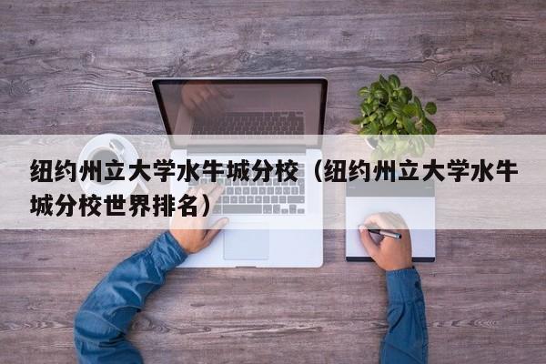 纽约州立大学水牛城分校（纽约州立大学水牛城分校世界排名）