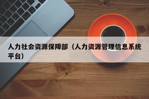 人力社会资源保障部（人力资源管理信息系统平台）