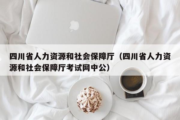 四川省人力资源和社会保障厅（四川省人力资源和社会保障厅考试网中公）