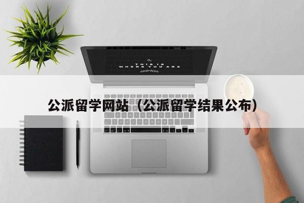 公派留学网站（公派留学结果公布）