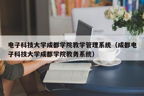 电子科技大学成都学院教学管理系统（成都电子科技大学成都学院教务系统）