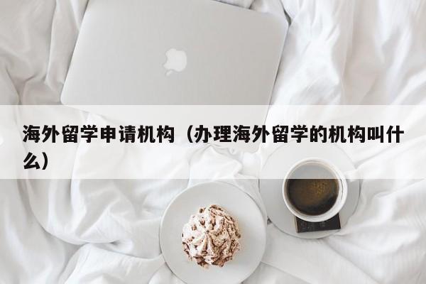 海外留学申请机构（办理海外留学的机构叫什么）