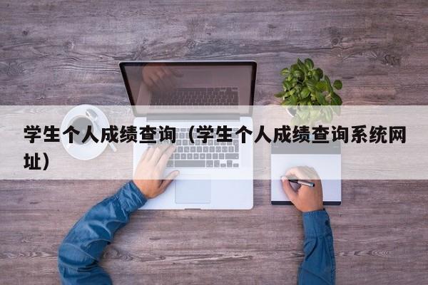 学生个人成绩查询（学生个人成绩查询系统网址）