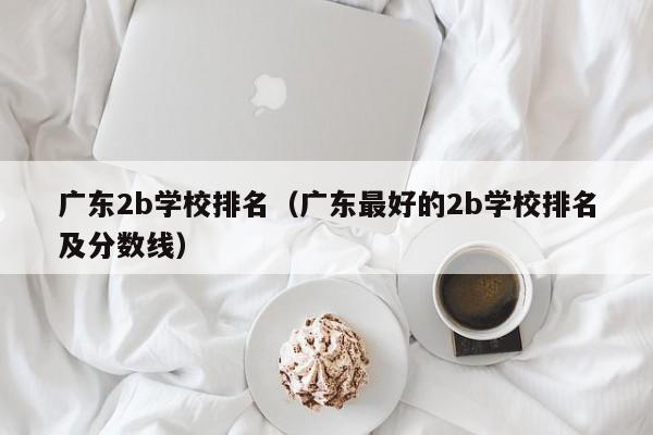 广东2b学校排名（广东最好的2b学校排名及分数线）