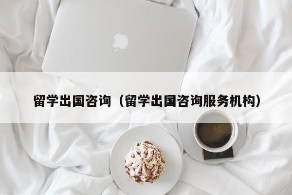 留学出国咨询（留学出国咨询服务机构）