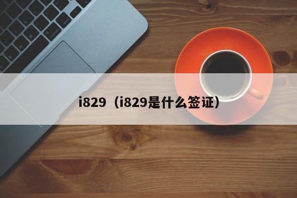 i829（i829是什么签证）